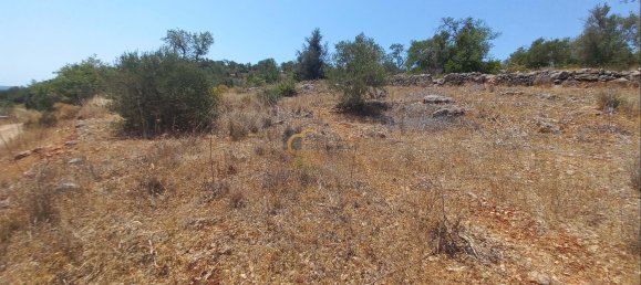 3920m² Land in Sao Bartolomeu de Messines, Portugal No. 213218 10