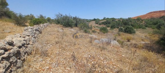 3920m² Land in Sao Bartolomeu de Messines, Portugal No. 213218 3