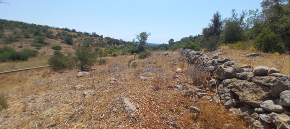 3920m² Land in Sao Bartolomeu de Messines, Portugal No. 213218 8