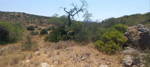 3920m² Land in Sao Bartolomeu de Messines, Portugal No. 213218 6