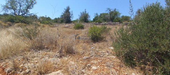 3920m² Land in Sao Bartolomeu de Messines, Portugal No. 213218 12
