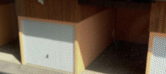 3 rooms Apartment in Pflach, Austria No. 145318 14