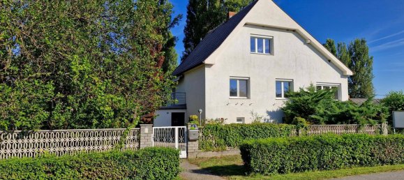 5-Zimmer Haus in Podersdorf am See, Austria, Nr. 234190 6