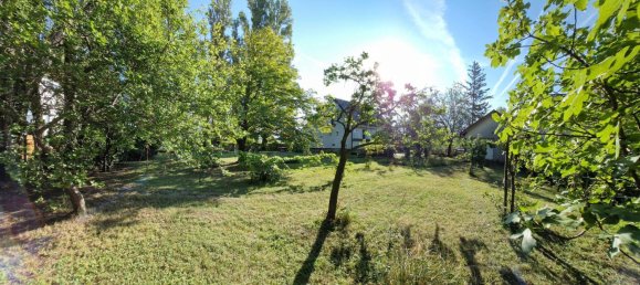 5-Zimmer Haus in Podersdorf am See, Austria, Nr. 234190 5