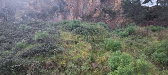 Terrain à Lloret de Mar, Spain 1600m² No. 159587 12