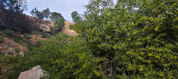 Terrain à Lloret de Mar, Spain 1600m² No. 159587 7