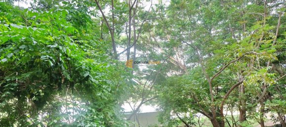 Condominio de 1 dormitorio en Pattaya, Thailand No. 19530 2