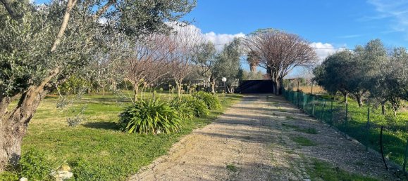 3 bedrooms Apartment in Cerveteri, Italy No. 335764 2