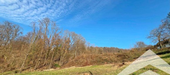 Земельный участок в Линц, Австрия № 118629 6