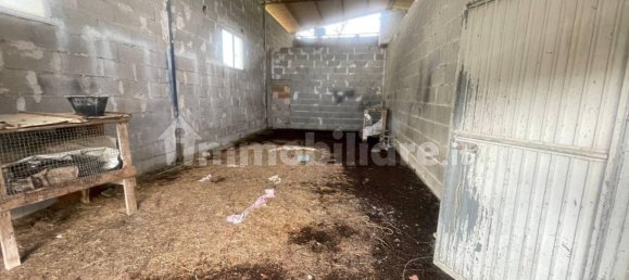 10 غرف نوم فيلا في Vejano, Italy رقم 209845 36