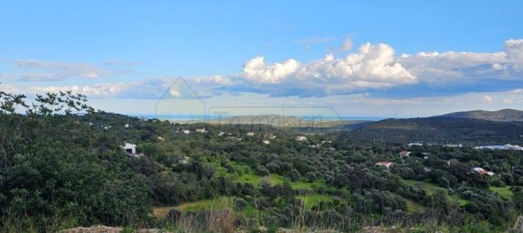 4 bedrooms Villa in Sao Bras de Alportel, Portugal No. 103360 29