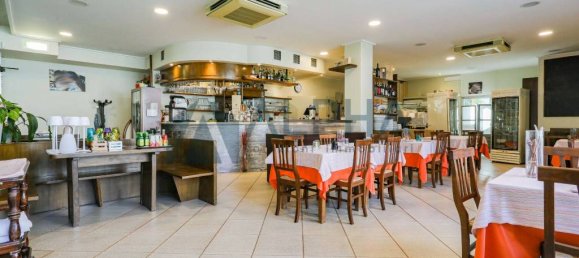 3 rooms Commercial property in Castrocaro Terme e Terra del Sole, Italy No. 135989 6