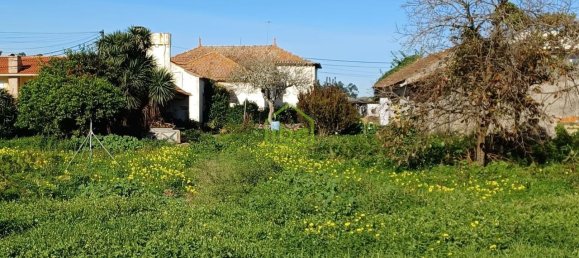 1163m² Land in Arvore, Portugal No. 52145 2