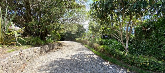 9 غرف نوم منزل في Sintra, Portugal رقم 48956 23