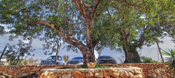 Дом с 5 спальнями в Феррейраш, Португалия № 17770 37