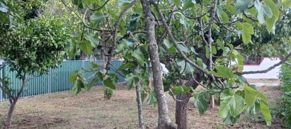 3 bedrooms Villa in Capaccio Paestum, Italy No. 352966 21