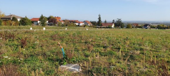 2 bedrooms Apartment in Cernay, France No. 91755 3