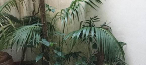 Дом с 4 комнатами в Сава, Италия № 144965 20