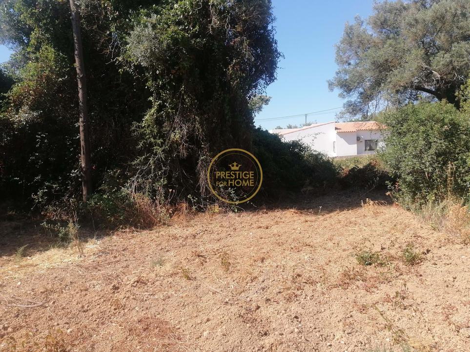 445m² Land in Loule, Portugal No. 218672