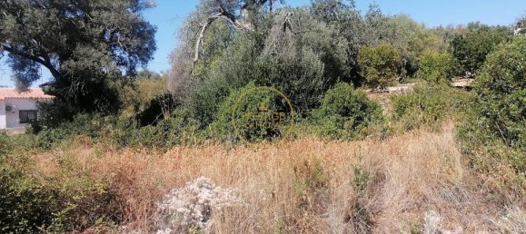 445m² Land in Loule, Portugal No. 218672 2