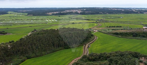 1 bedroom House in Soure, Portugal No. 30775 15