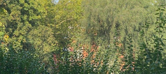 Apartamento de 2 habitaciónes en Oberhausen, Germany No. 297862 2