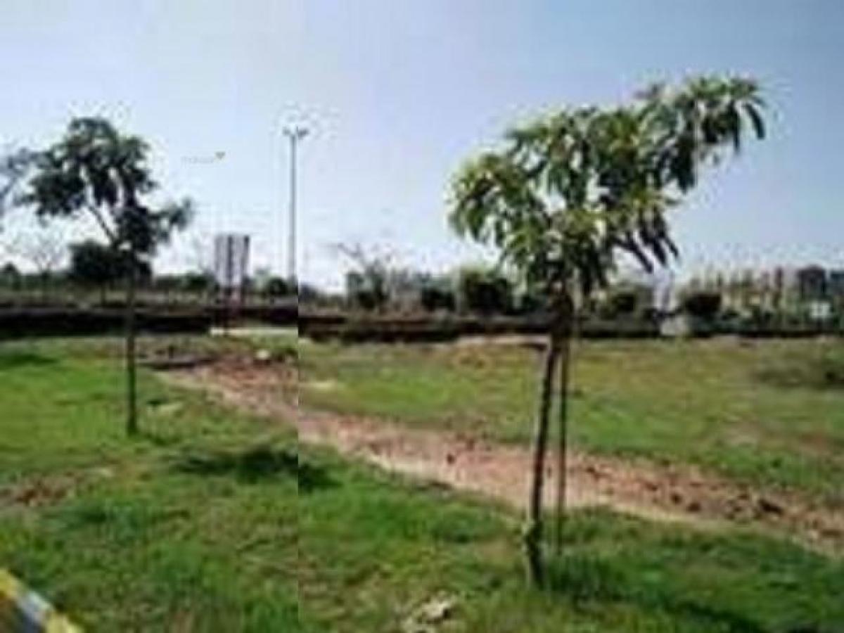  Land in Mohali, India No. 36757