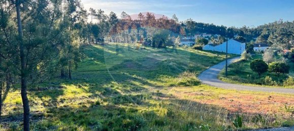 3 Schlafzimmer Haus in Vila de Rei, Portugal, Nr. 176412 9
