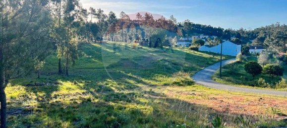 3 Schlafzimmer Haus in Vila de Rei, Portugal, Nr. 176412 10