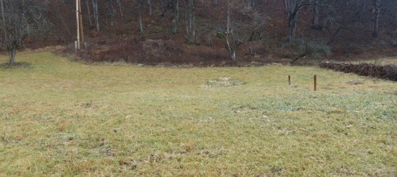 Terrain à Deutschfeistritz, Austria No. 91946 2