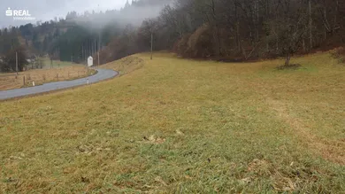 Terrain à Deutschfeistritz, Austria No. 91946