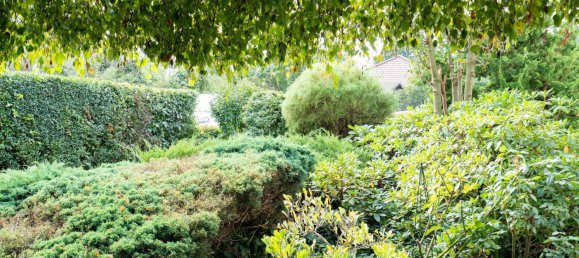 Casa de 4 divisões em Havelland, Germany N.º 69633 28