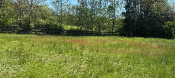 Granja de 1 dormitorio en Trier-Saarburg, Germany No. 164464 6