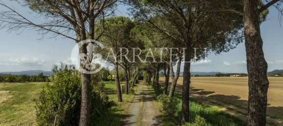 4 bedrooms Villa in Grosseto, Italy No. 120195 8