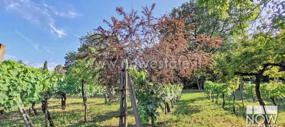 6 rooms Villa in Citerna, Italy No. 150868 20