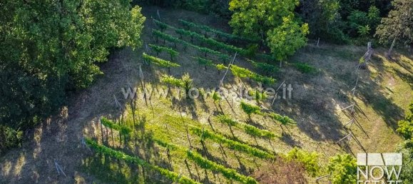 6 rooms Villa in Citerna, Italy No. 150868 19