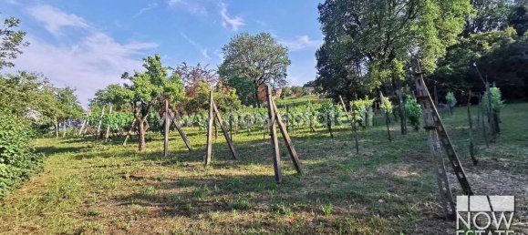 6 rooms Villa in Citerna, Italy No. 150868 23