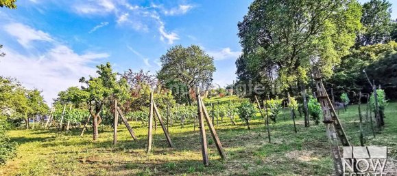 6 rooms Villa in Citerna, Italy No. 150868 24