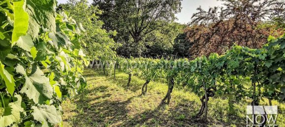 6 rooms Villa in Citerna, Italy No. 150868 22