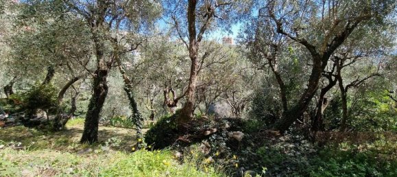 4 bedrooms House in Zoagli, Italy No. 168547 13