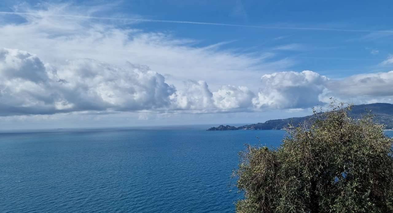 4 bedrooms House in Zoagli, Italy No. 168547