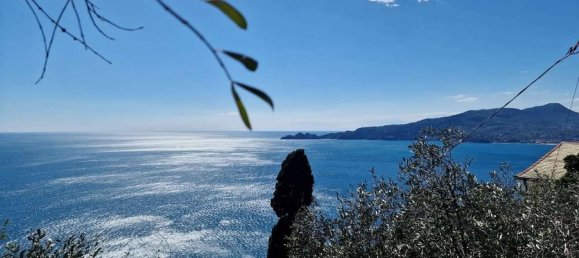 4 bedrooms House in Zoagli, Italy No. 168547 22