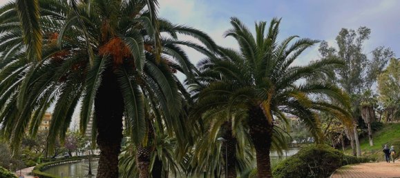 1 غرف نوم شقة في Benalmadena, Spain رقم 21865 14