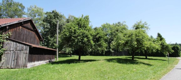 7 rooms House in Zell an der Pram, Austria No. 222614 7