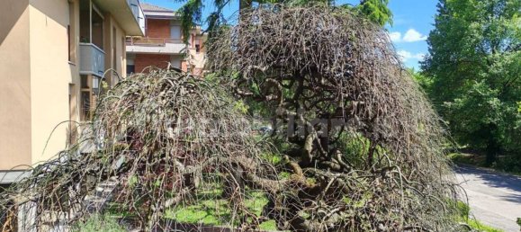 Apartamento de 1 dormitorio en San Lazzaro di Savena, Italy No. 326872 34