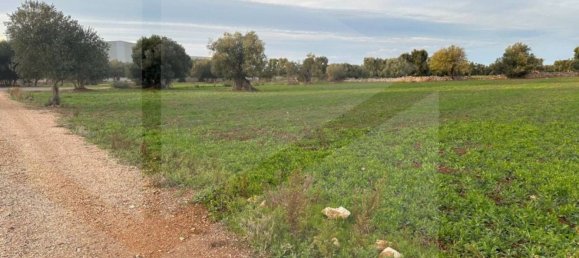 Земельный участок 1910м² в Фазано, Италия № 21657 10
