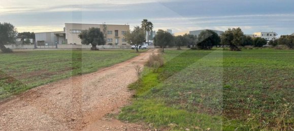 Земельный участок 1910м² в Фазано, Италия № 21657 11