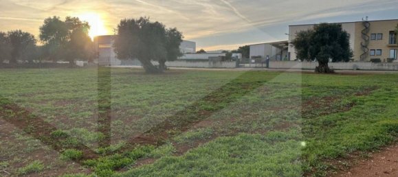 Земельный участок 1910м² в Фазано, Италия № 21657 5