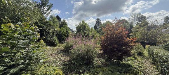 1 bedroom House in Solingen, Germany No. 228197 7