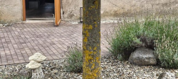 Moradia em banda T4 em Bavaria, Germany N.º 323644 40